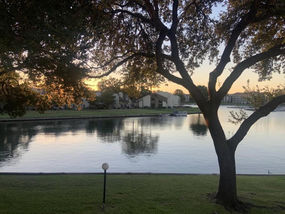 מונטגומרי Lakeside Daze! מראה חיצוני תמונה