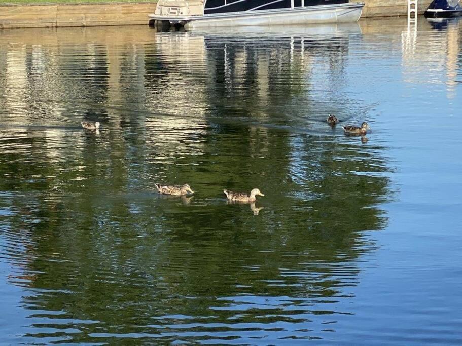 מונטגומרי Lakeside Daze! מראה חיצוני תמונה