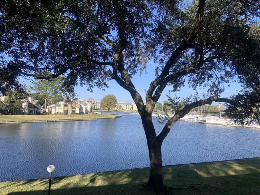 מונטגומרי Lakeside Daze! מראה חיצוני תמונה